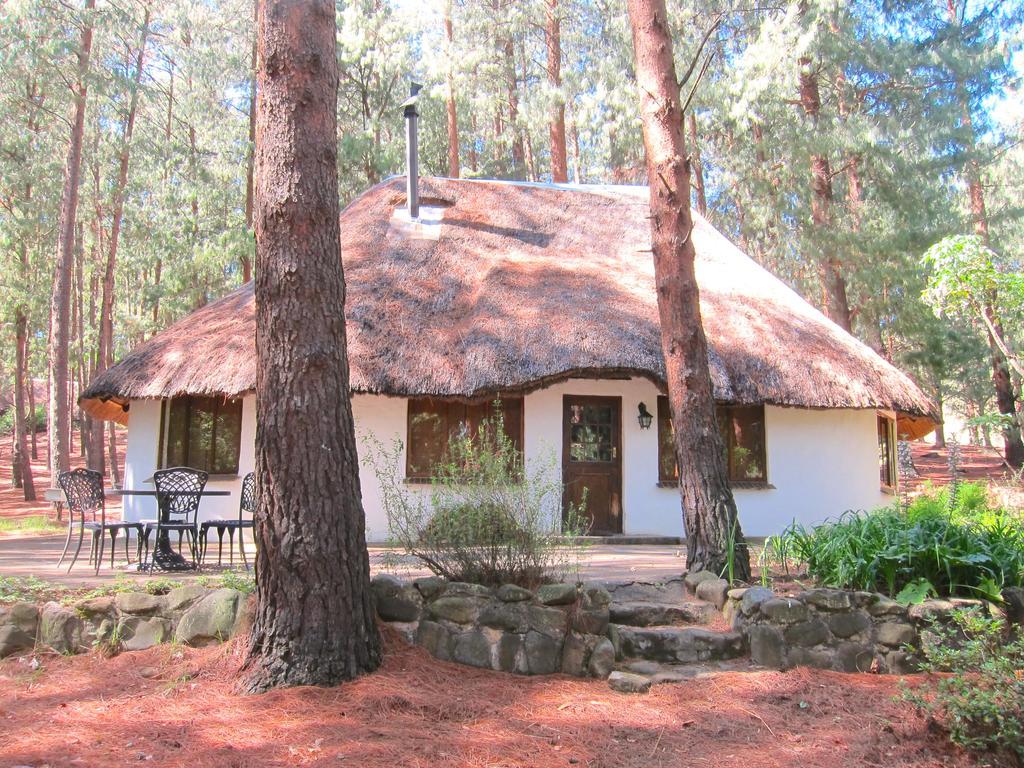 Giantscup Wilderness Reserve Underberg Esterno foto